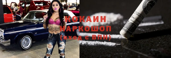 индика Белокуриха