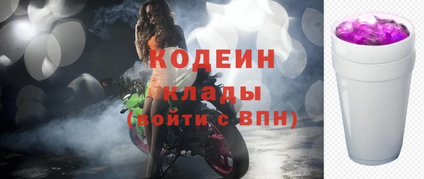 индика Белокуриха