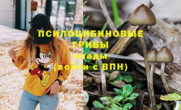 mdpv Белоозёрский