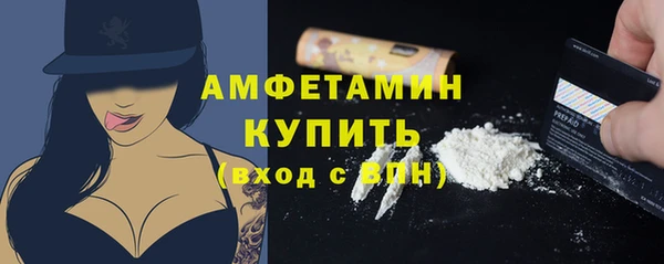 индика Белокуриха