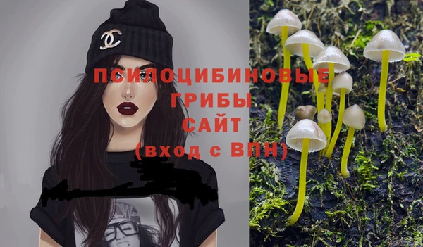 индика Белокуриха