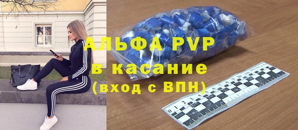 индика Белокуриха