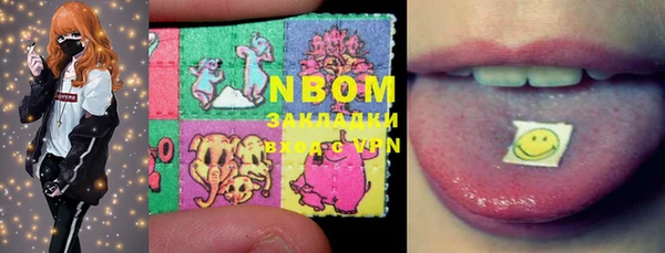 индика Белокуриха